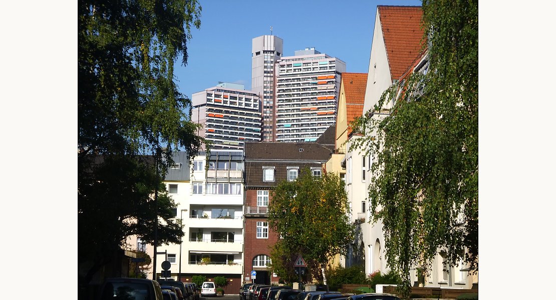 Köln Sülz Rheingold Immobilien